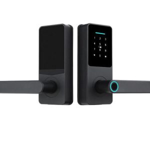 LS-C82A 6-in-1 Smart Lock