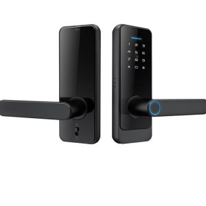 LS-C89 5-in-1 Smart Lock