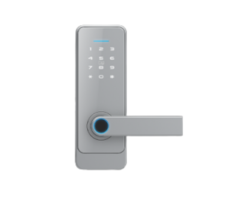 LS-C89 5-in-1 Smart Lock - Image 4