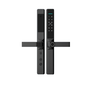 LS-L106 5-in-1 Smart Lock